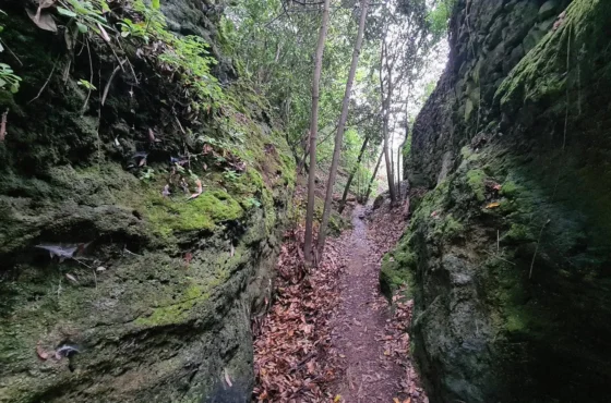 Senderismo en Gran Canaria, 5 rutas que no te puedes perder 
